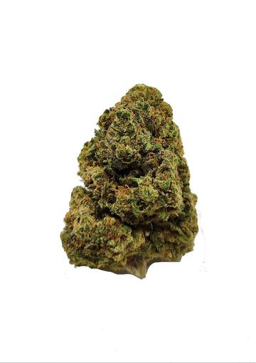 Critical CBD 12% CBD - THC <0,30% - Fleur de Cannabis Indoor/Hydro Suisse