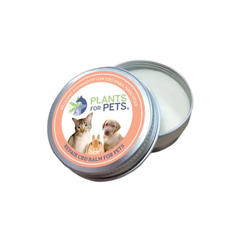 Baume CBD Réparateur pour Animaux - 600mg CBD - Soulagement Durable