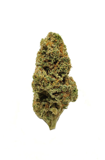 HARLEY QUINN - Infinity CBD