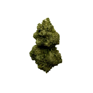 Rainbow Kush CBD 12% CBD - THC <0,30% - Chanvre Indoor Premium