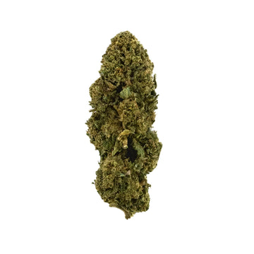 The White Dawg CBD - 16 % CBD - THC <0,30%