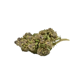 Cookie Purple CBD - 18 % CBD - THC <0,30%