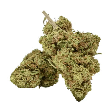 California Kush CBD  14% CBD - THC <0,30%
