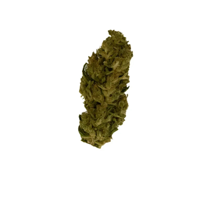 Lemon Haze CBD 4 % CBD - THC <0,30%