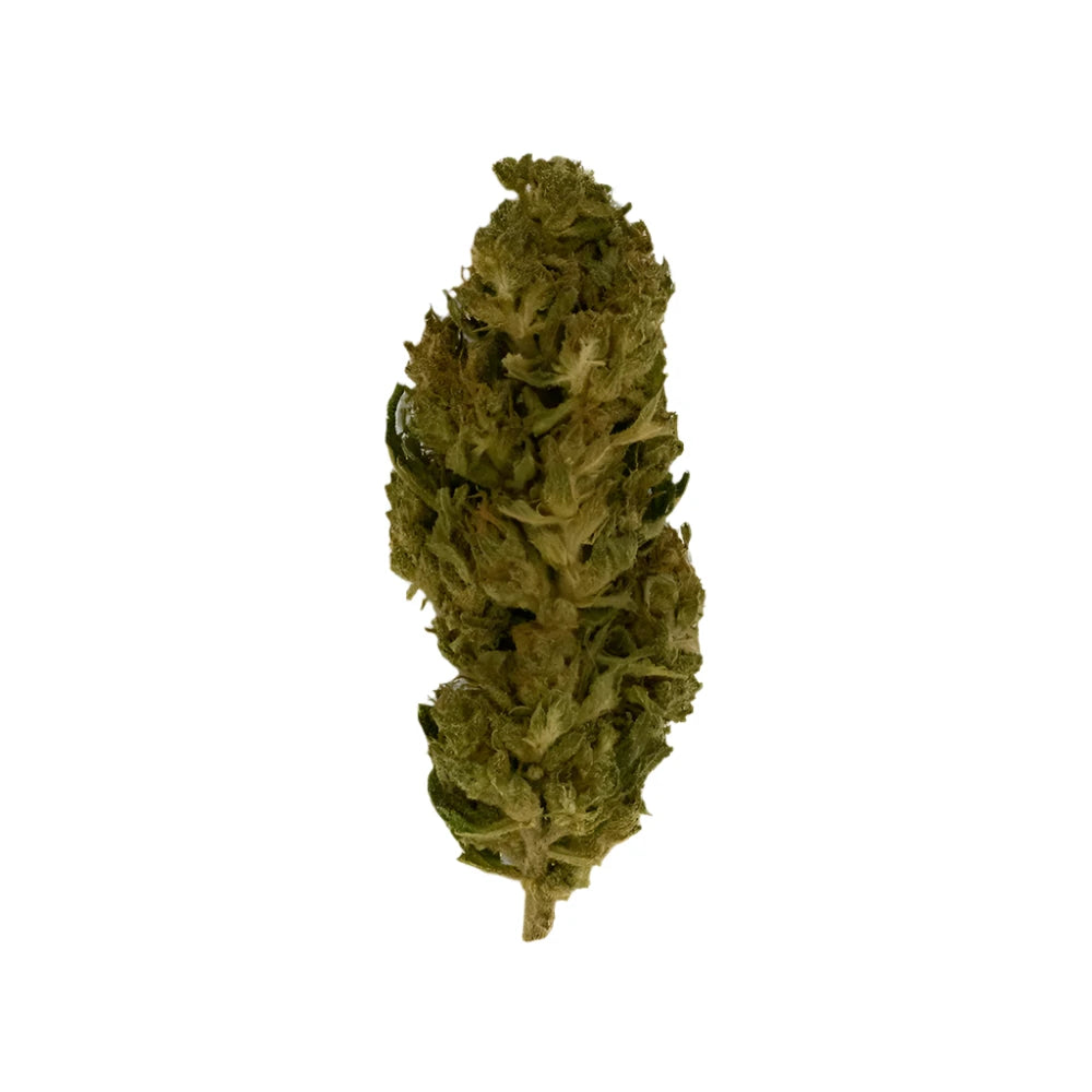 Lemon Haze CBD 4 % CBD - THC <0,30%