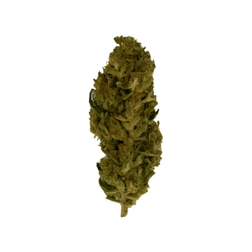 Lemon Haze CBD 4 % CBD - THC <0,30%