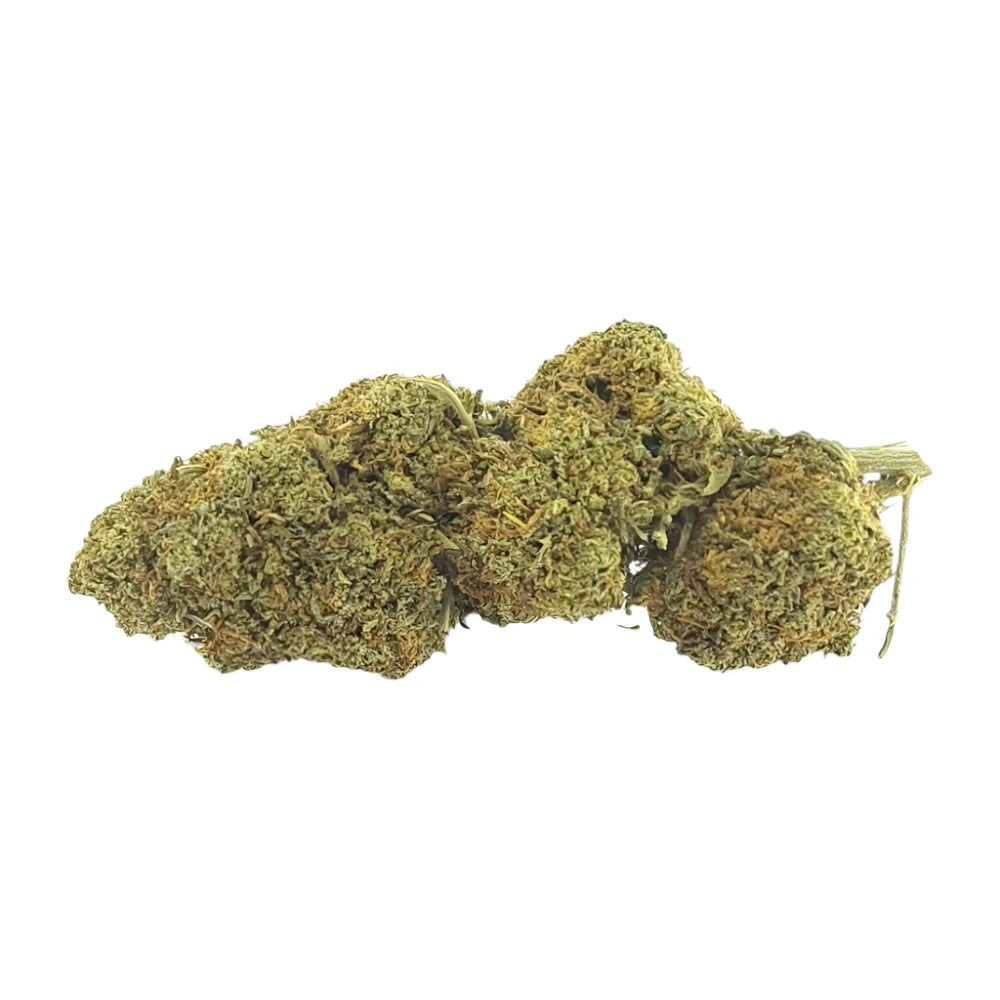 Strawberry Haze CBD 10 % CBD - THC <0,30%
