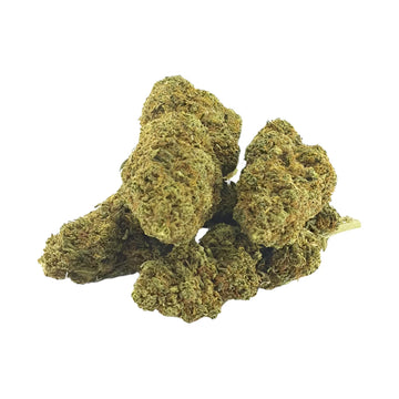 Strawberry Haze CBD 10 % CBD - THC <0,30%
