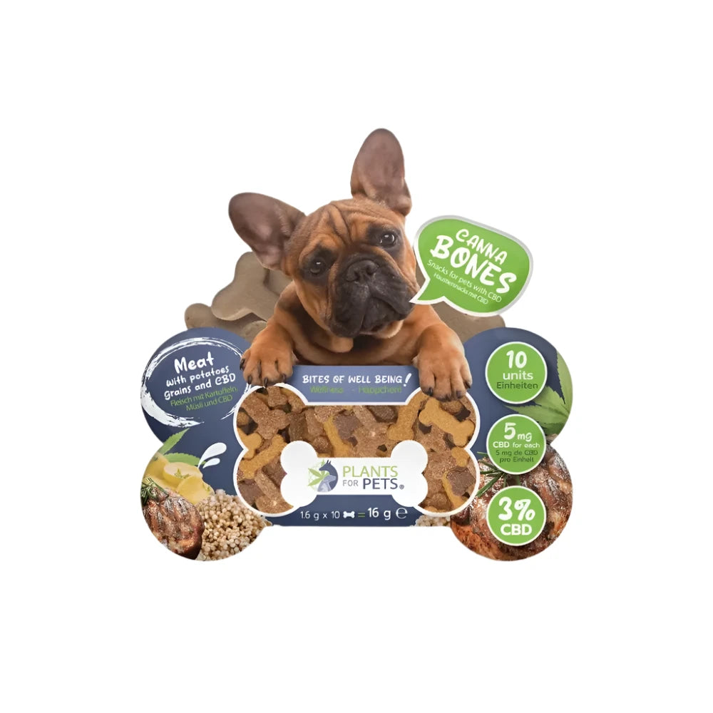 Friandise CBD pour chiens - 3% CBD - THC <0,30%